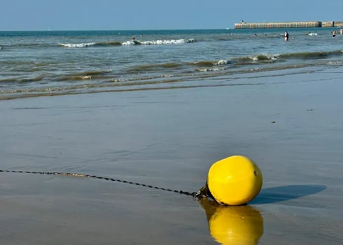 La Cour D Anvers Daire *